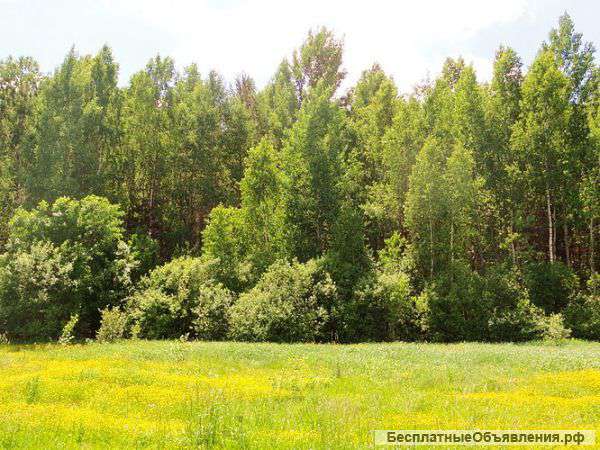 Земельный участок 37 соток