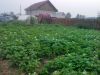 Благоустроенный дом 90кв м на участке 15соток