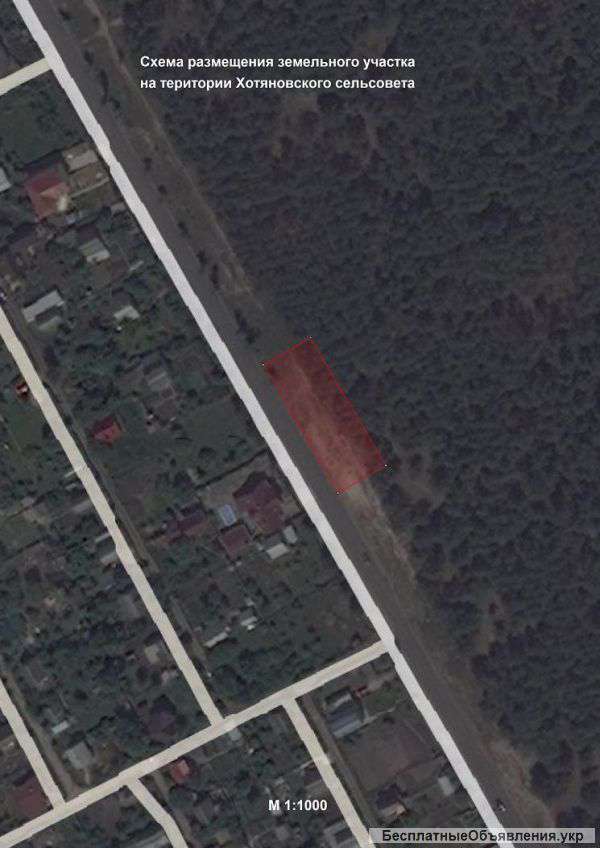 Участок в лесу. Асфальт по самый участок.