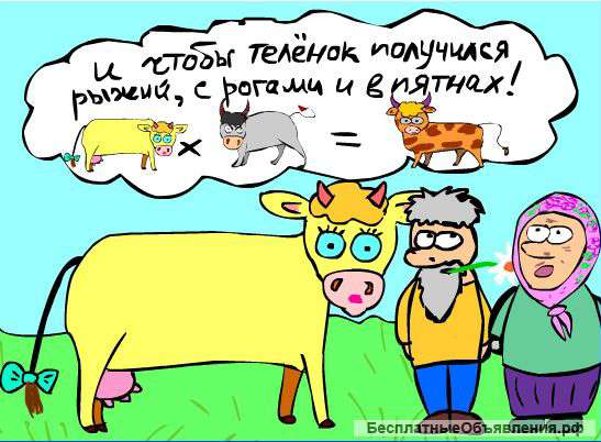 Резюме репетитора
