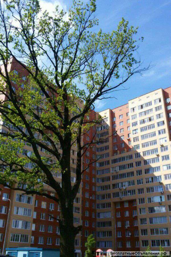 Сдается новая квартира