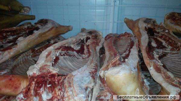 Свинина оптом в полутушах заморозка