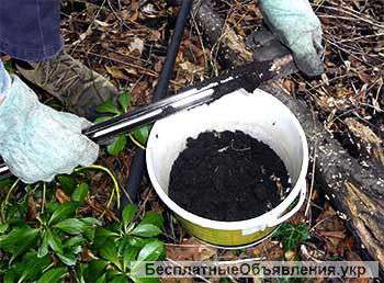 Комплексный анализ почвы