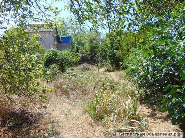 Участок в СТ Маяк 1