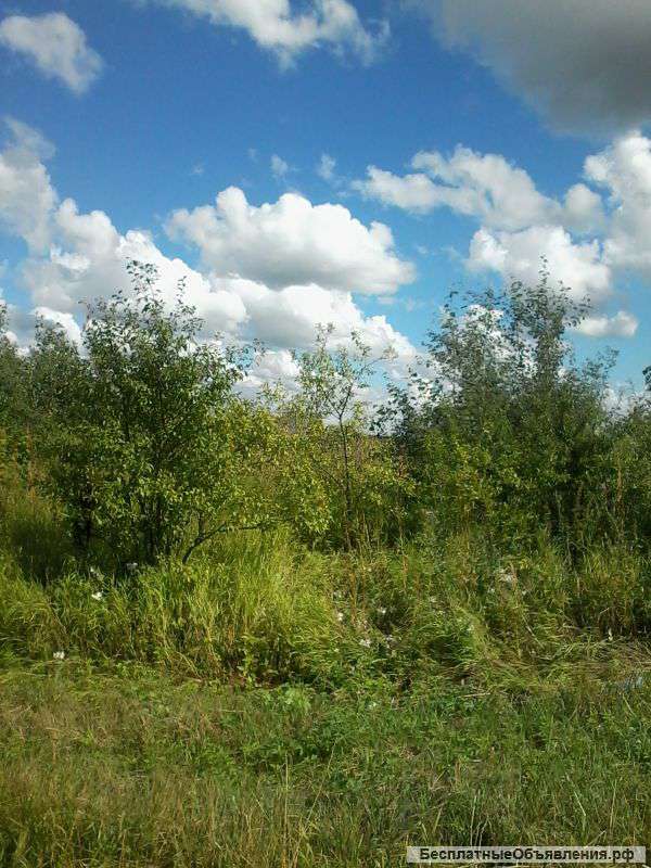 Участок 36 соток, Коломенском район, с. Октябрьская