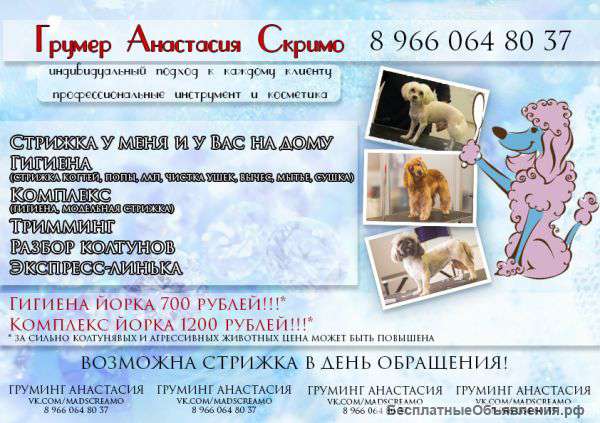Грумер, стрижка собак и кошек