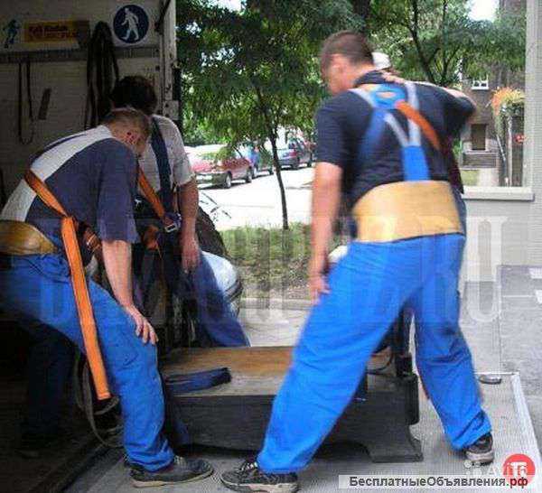 Профессиональные грузчики оборудованный транспорт