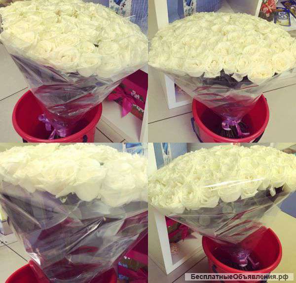 101 белая роза спб