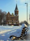 Новый год на самом западе России в Калининграде