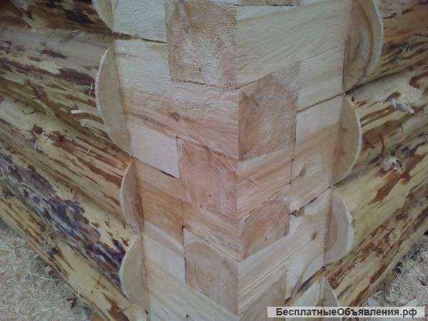 Срубы домов и бань