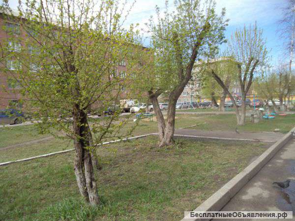 Трехкомнатную на Родине