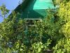 Дача в Пушкинском районе, СНТ "Автомобилист"