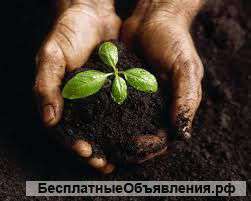 Требуется овраг, земельный участок для отсыпки грунта