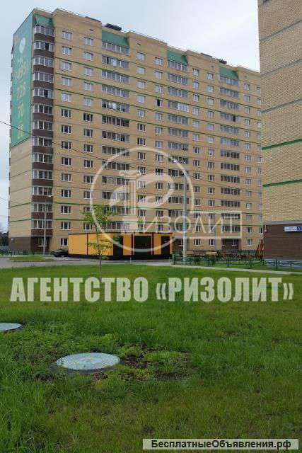 1 комнатной квартиры пгт Зеленоградский