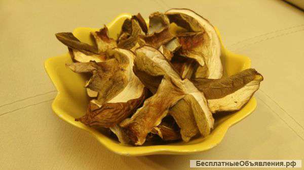 Сушеный Белый Гриб