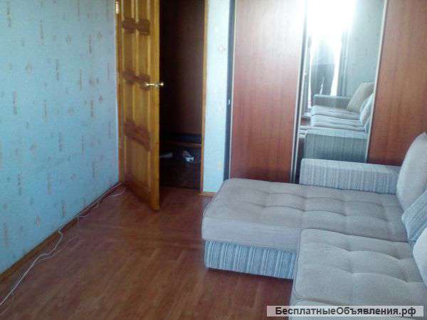 Сдам в аренду